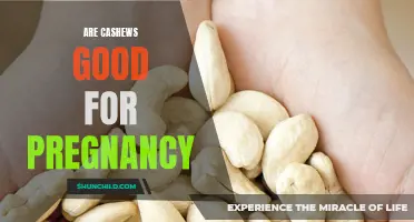 The Benefits of Including Cashews in Your Pregnancy Diet