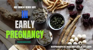 Chinese Herbs and Early Pregnancy: A Safe Combination?