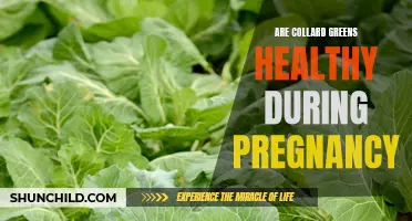 Understanding the Health Benefits of Collard Greens for Expectant Mothers