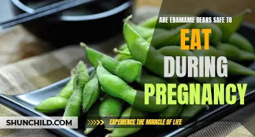Edamame Exploration: Unraveling Pregnancy Nutrition