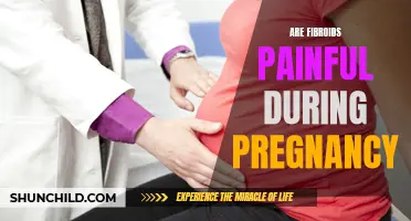 Are Fibroids Painful During Pregnancy? Understanding the Symptoms and Treatment Options