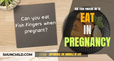 Pregnancy and Fish Fingers: A Healthy Combination?