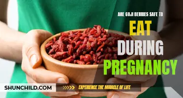 Goji Berries and Pregnancy: A Safe and Nutritious Pairing?