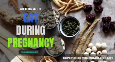 Herbal Remedies and Pregnancy: A Safe Combination?