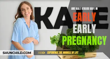 Pregnancy Dietary Dilemma: Exploring Kale Stalks' Safety