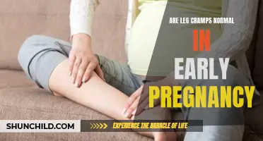 Understanding Leg Cramps: A Common Symptom in Early Pregnancy