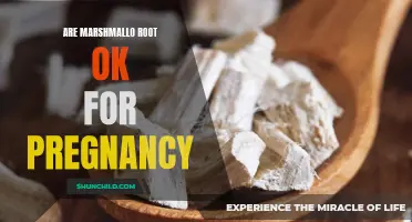 Is Marshmallow Root Safe to Consume During Pregnancy?