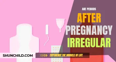 Are Periods After Pregnancy Irregular? What to Expect Postpartum