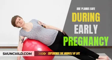 Planking and Pregnancy: Exploring the Safety of Planks During the Early Trimesters