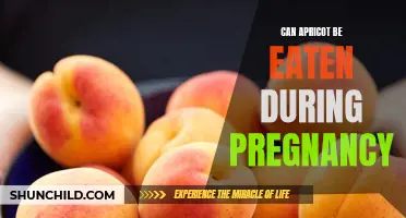 Pregnancy Diet: Exploring the Benefits and Safety of Apricots