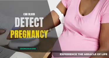 The Power of Blood: Can It Detect Pregnancy?