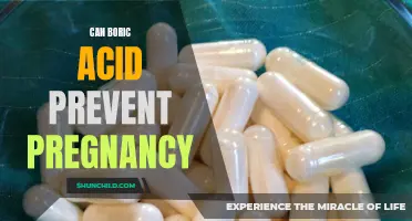 Boric Acid: Can It Be Used as a Birth Control Method?