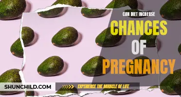 Boost Your Chances of Pregnancy with a Healthy Diet