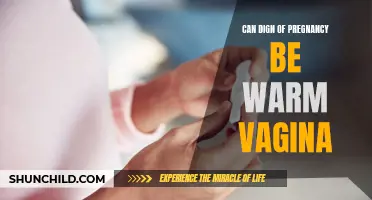Understanding the Connection Between Warm Vagina and Signs of Pregnancy