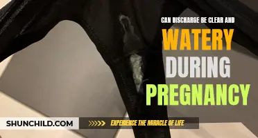 Understanding Clear and Watery Discharge: A Common Occurrence During Pregnancy