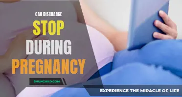 Why Discharge Can Stop During Pregnancy and What It Means