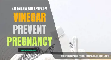 Exploring the Use of Apple Cider Vinegar for Birth Control: Can Douching with ACV Prevent Pregnancy?