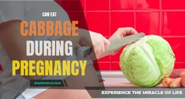 Pregnancy and Cabbage: A Healthy Combination?