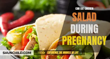 Pregnancy Diet: Exploring the Safety of Chicken Salad