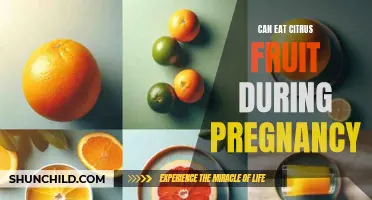 Citrus Craze: Enjoying the Zesty Benefits of Oranges, Lemons, and More During Pregnancy