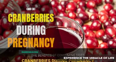Cranberries and Pregnancy: A Healthy Match?
