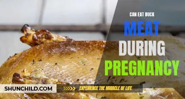 Pregnancy and Duck Meat: A Healthy Combination?