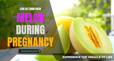 Honeydew Melon During Pregnancy: A Safe and Healthy Treat?