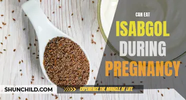 Isabgol and Pregnancy: A Safe and Healthy Combination?