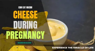 Nacho Cheese and Pregnancy: A Safe Snack Option?