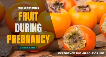 Persimmon Fruit During Pregnancy: Safe Snacking or Potential Pitfalls?