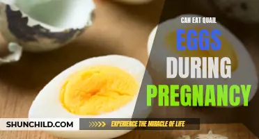 Pregnancy and Quail Eggs: A Healthy Combination?