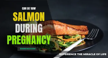 Pregnancy and Raw Salmon: What You Need to Know