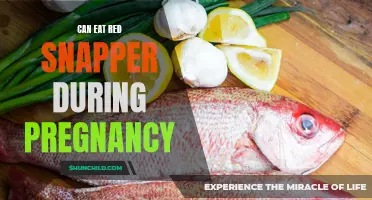Pregnancy and Seafood: Is Red Snapper on the Menu?