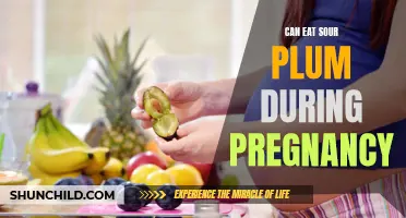 Sour Plum Safety for Expectant Mothers: Understanding the Facts