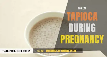 Tapioca Treats for Moms-to-Be: Navigating Pregnancy Cravings Safely