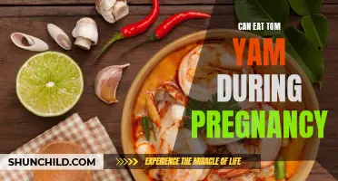 Tom Yam Delight or Dilemma? Exploring Pregnancy Cravings and Cautions