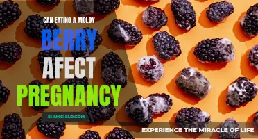 Moldy Berry Alert: Pregnancy and Food Safety Concerns