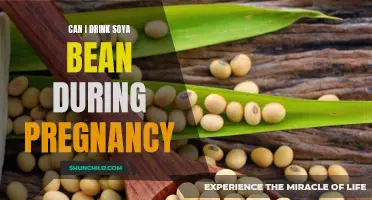 Understanding the Benefits and Precautions of Consuming Soybean During Pregnancy