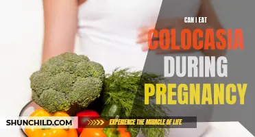 Is It Safe to Eat Colocasia During Pregnancy? Exploring the Benefits and Risks