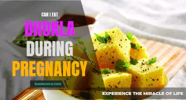 Dhokla Delights: A Safe and Nutritious Treat for Expectant Mothers