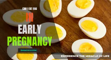 Egg-specting: Unscrambling the Truth About Eggs and Early Pregnancy