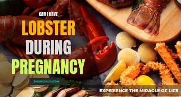 Enjoying Seafood Safely: Can I Include Lobster in my Pregnancy Diet?