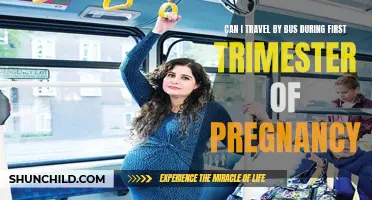 Is Traveling by Bus Safe During the First Trimester of Pregnancy?