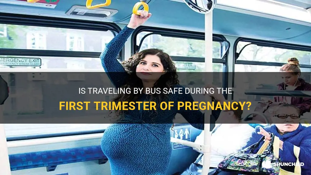 can I travel by bus during first trimester of pregnancy
