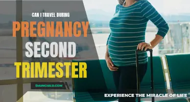 Traveling During Pregnancy: What You Need to Know in Your Second Trimester