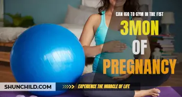 Exercising Safely: Can You Go to the Gym in the First 3 Months of Pregnancy?