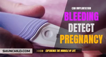 How Implantation Bleeding Can Help Detect Pregnancy