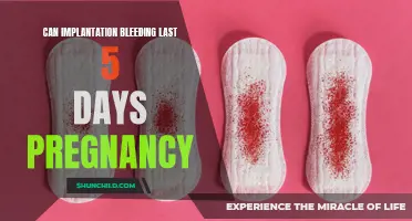 How Long Can Implantation Bleeding Last in Early Pregnancy?