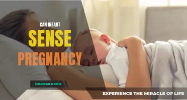 How Do Infants Sense Pregnancy? A Closer Look at the Connection