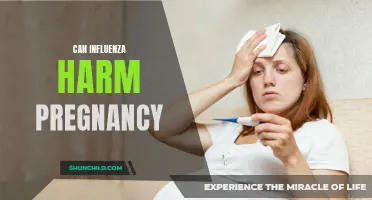 The Impact of Influenza on Pregnancy: Risks and Precautions